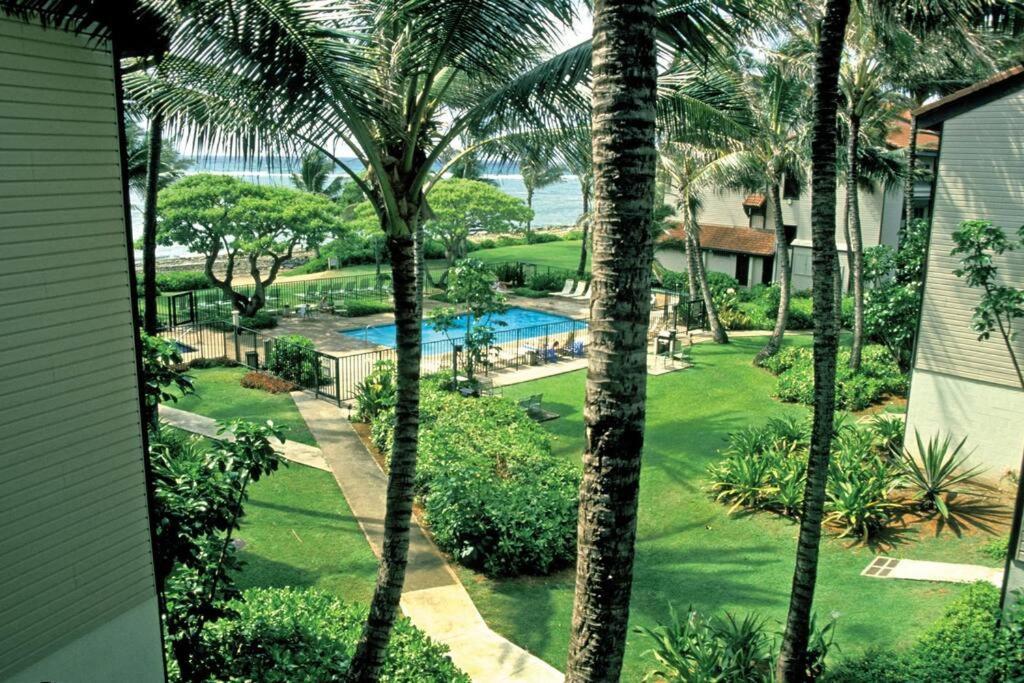 1Br Condo At Oceanfront Resort Kapaa Shore Kapa'a Buitenkant foto